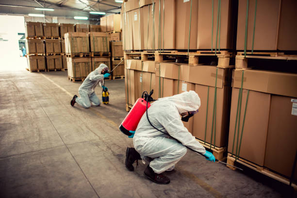 Professional Pest Control in Chisholm, ME